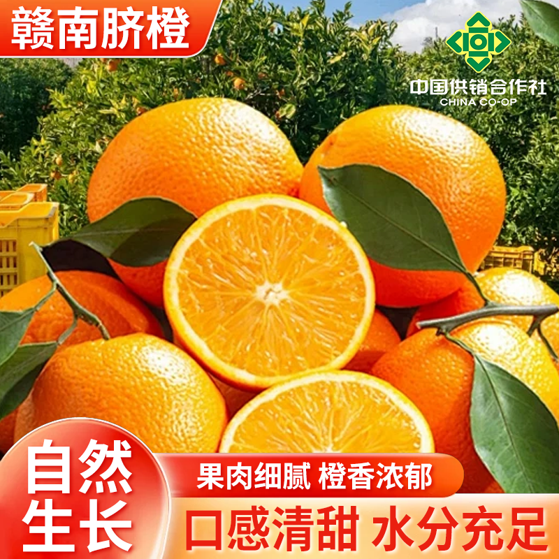 供销社助农正宗赣南脐橙新鲜采摘产地直发橙子应季水果坏果包赔