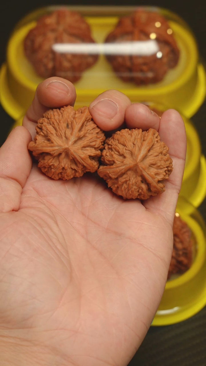 吊坠文玩核桃御龙粗筋 肚子有一点反油