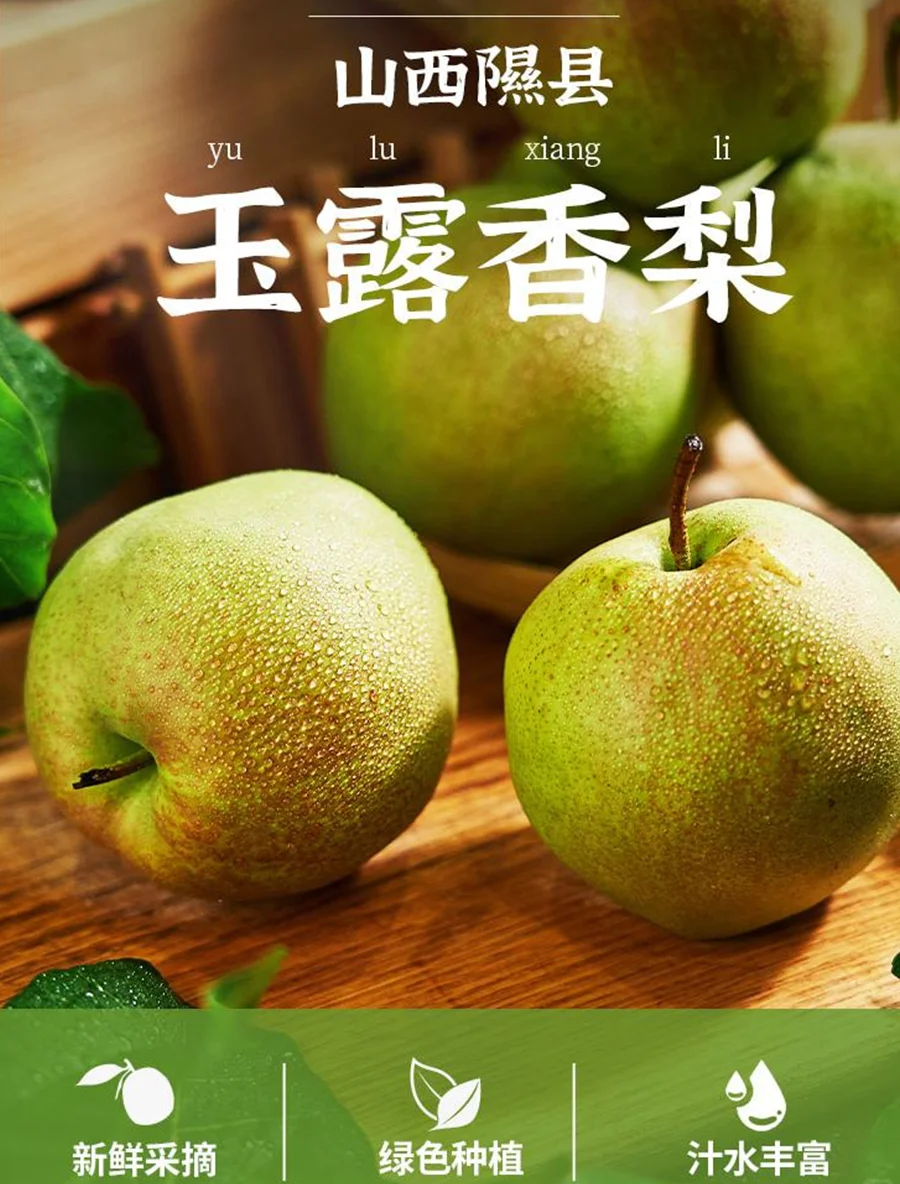 【511541】山西隰县玉露香梨当季新鲜上市脆甜多汁水果
