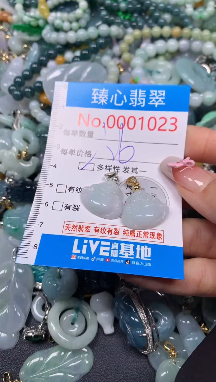 【闪购商品】翡翠颈饰未镶嵌含绳0001023