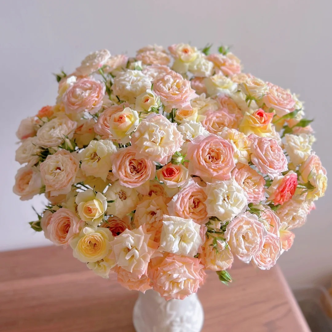 【花千花谷玫瑰】簪花笑1把，一单包邮，两单升级京东或者顺丰冷链！  