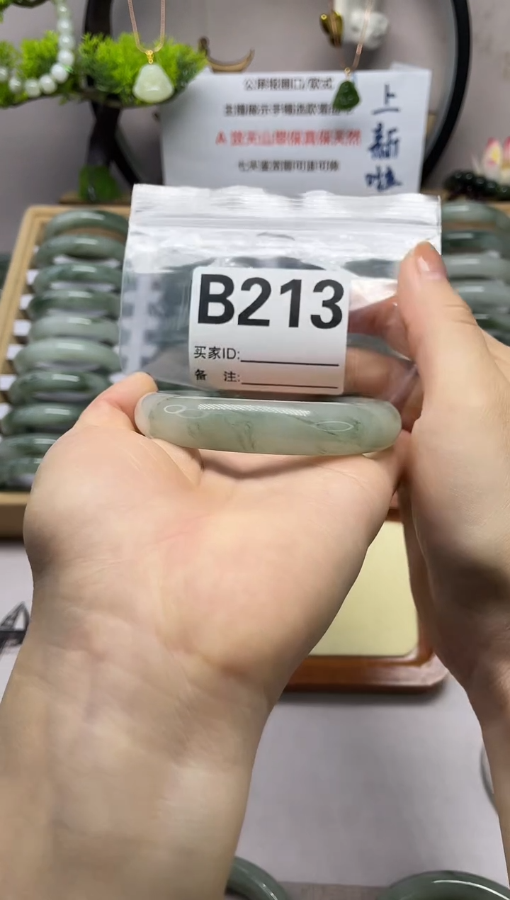 【闪购商品】石英质玉（天山翠）手镯未镶嵌b213
