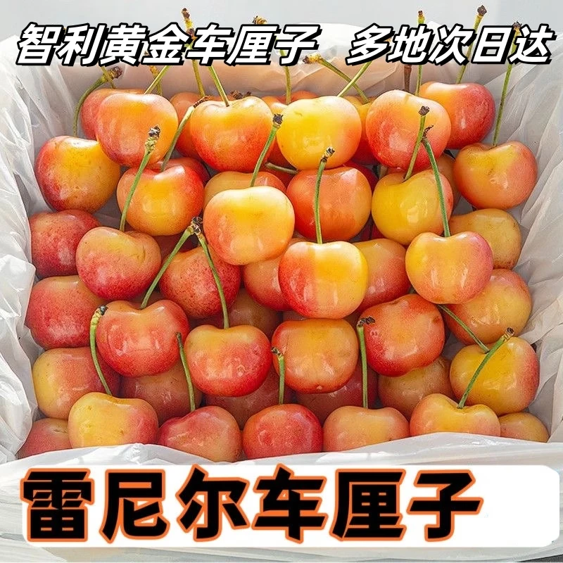 【金车】智利进口 雷尼尔车厘子  5-10斤装 XLD 特价无售后 介意勿拍