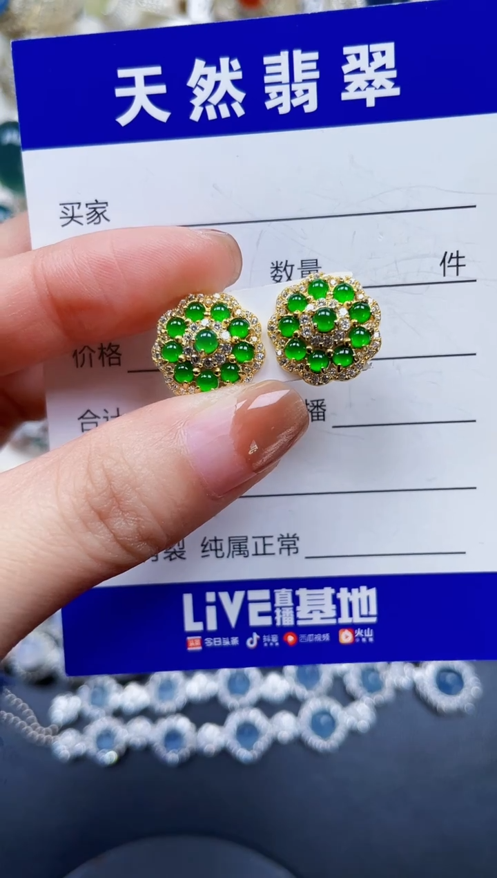 银S925镶嵌翡翠耳饰234