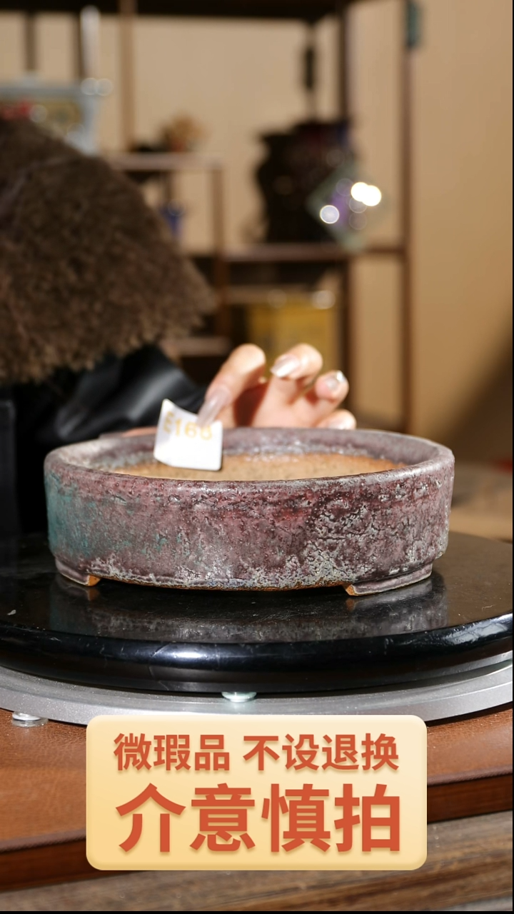 【闪购商品】红陶168