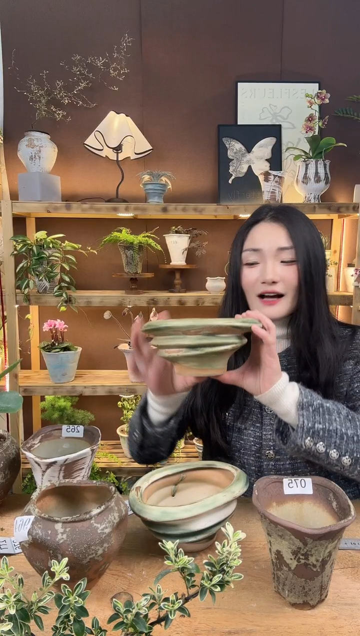 无花朵编号 267   景德镇手工手绘花盆 