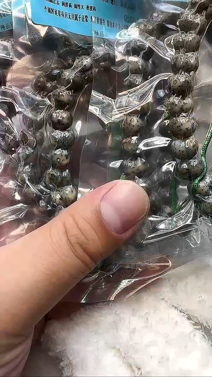 手串星月菩提100星月菩提屁桃手持5条