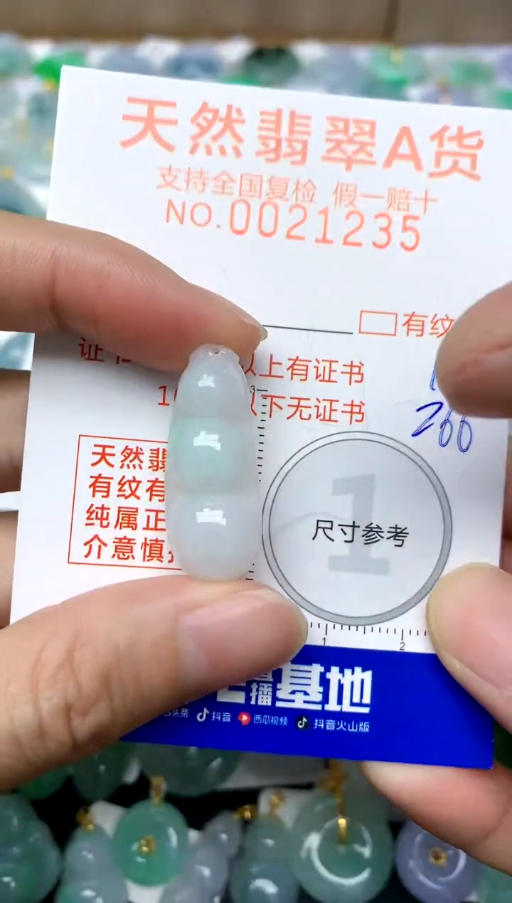 【闪购商品】翡翠颈饰未镶嵌266天然A货翡翠·