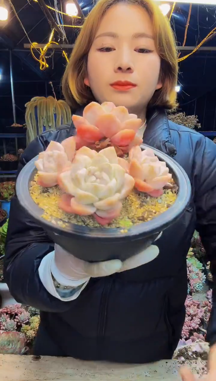 小*～冰玉一物一拍小满姐