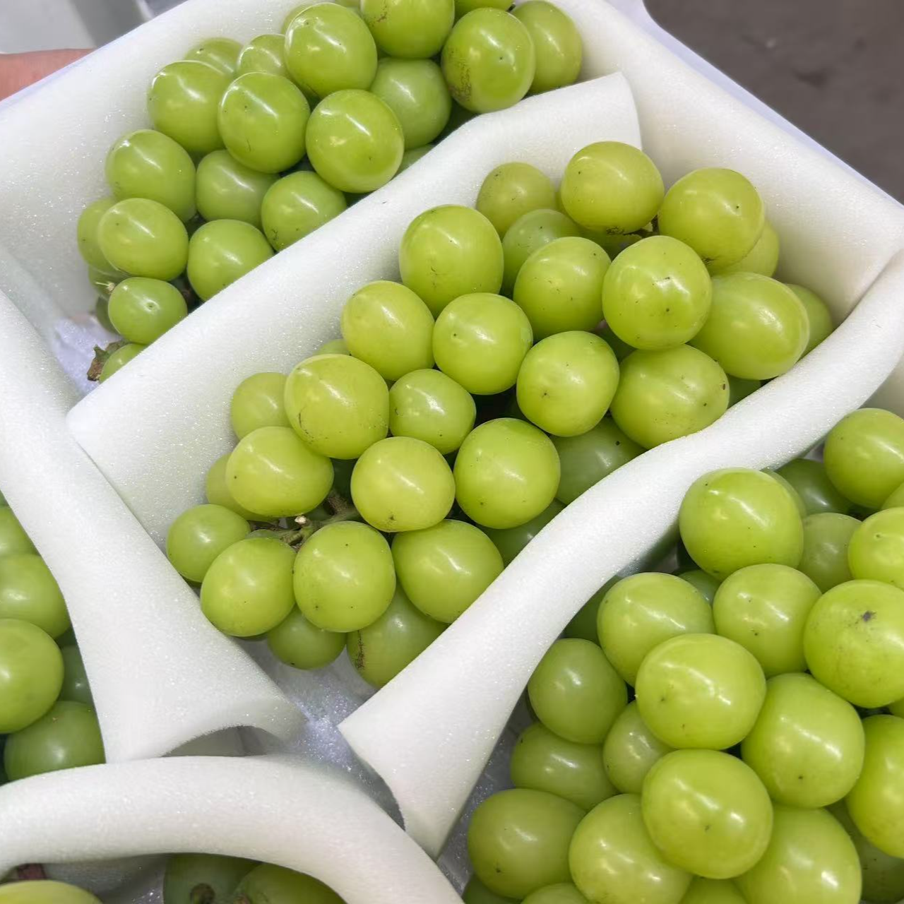 【瑕疵】阳光玫瑰散装3斤左右