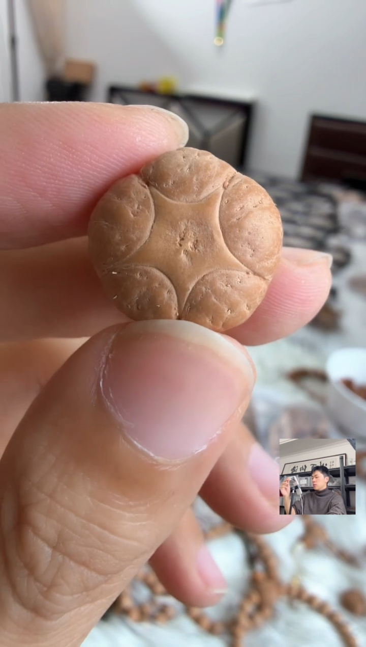 吊坠凤眼菩提4786三通