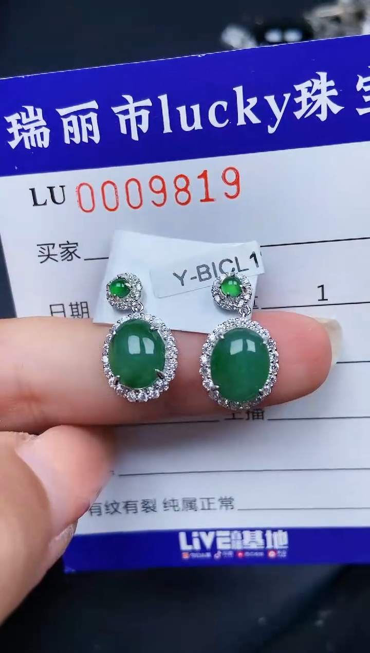 【闪购商品】翡翠颈饰银S925镶嵌9819