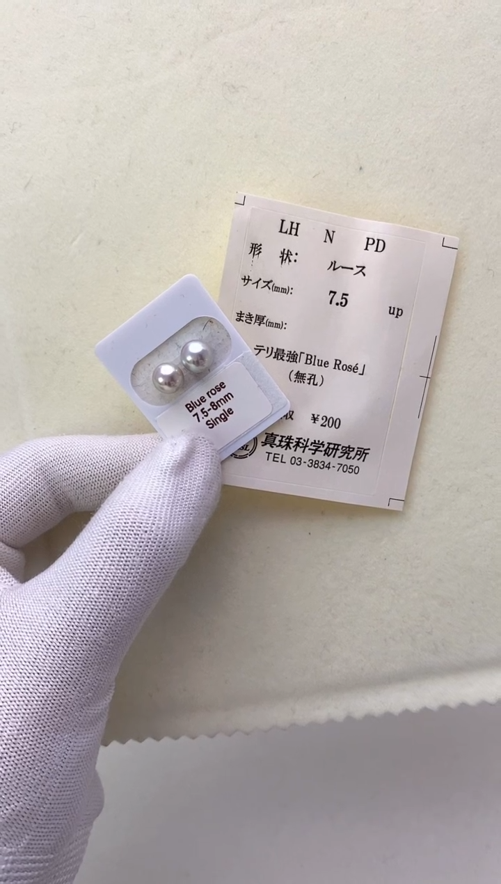 【闪购商品】18K金镶嵌海水珍珠耳钉7.5-8mm蓝玫瑰耳钉