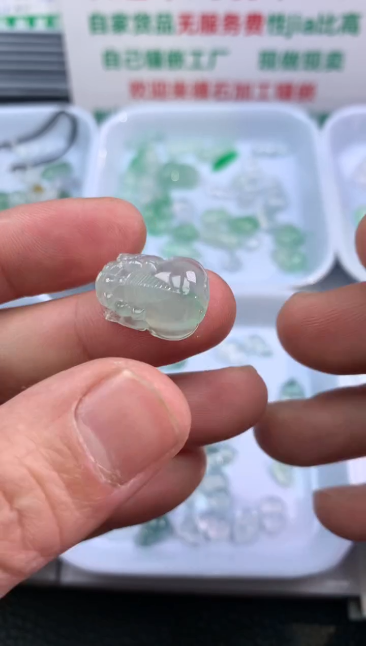 【闪购商品】翡翠颈饰未镶嵌貔貅003