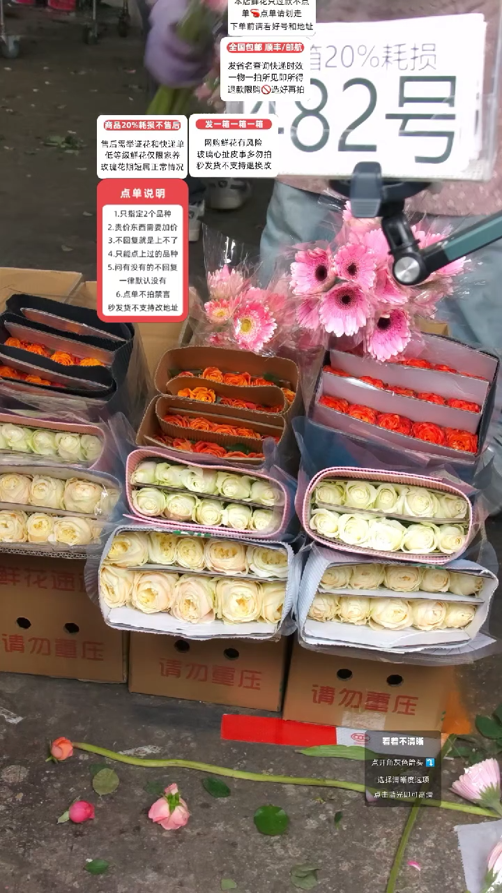 482号♥含20%耗损发一箱