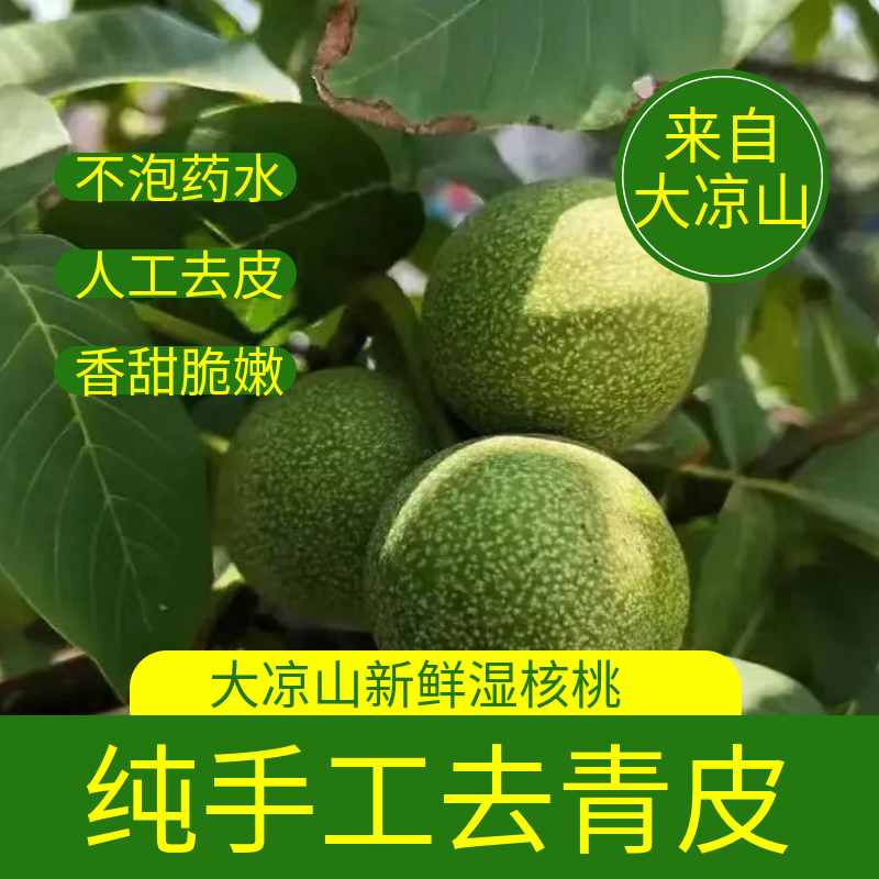 （顺丰）四川大凉山2025新鲜湿核桃人工去青皮当季孕妇水果