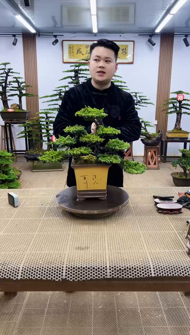 【闪购商品】0000000
