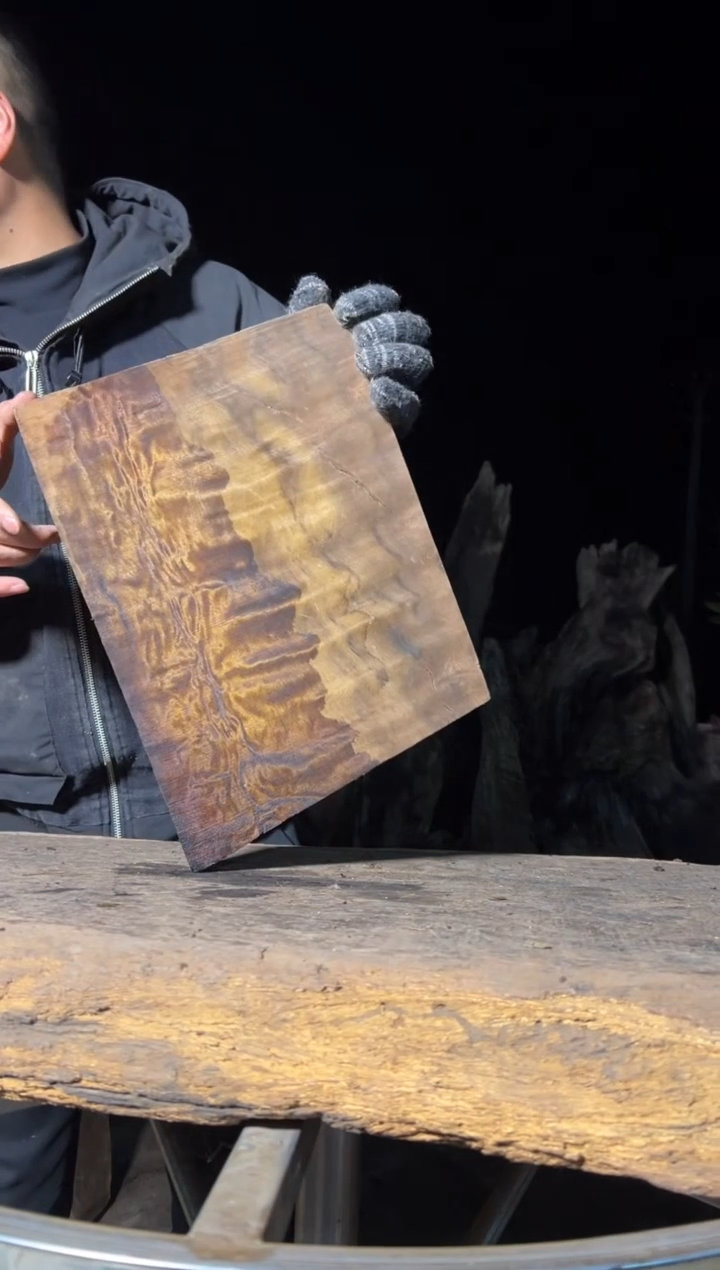 金丝楠叶*零金丝楠