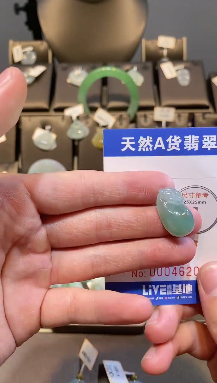 【闪购商品】翡翠颈饰未镶嵌纯天然A货翡翠一件