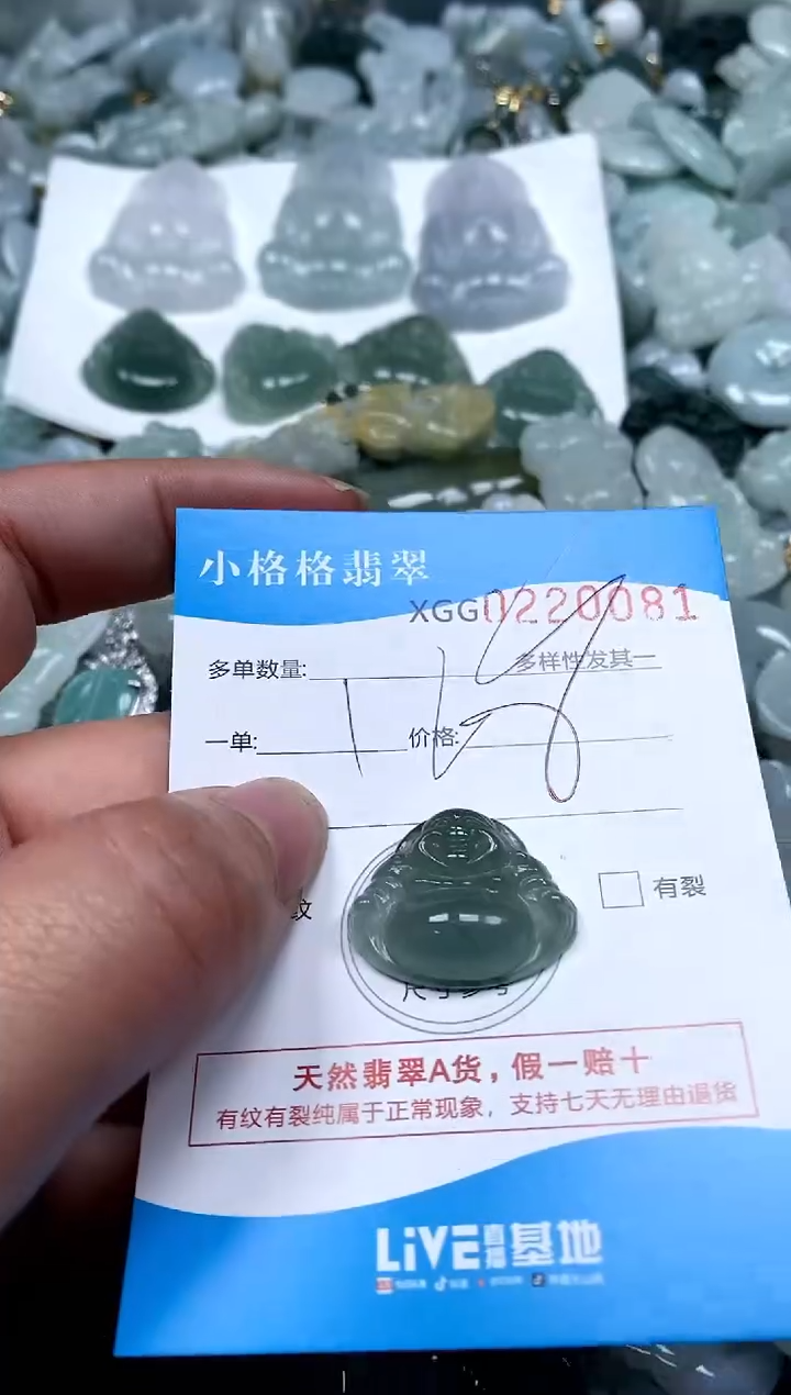 【闪购商品】翡翠颈饰未镶嵌闪购商品0220081