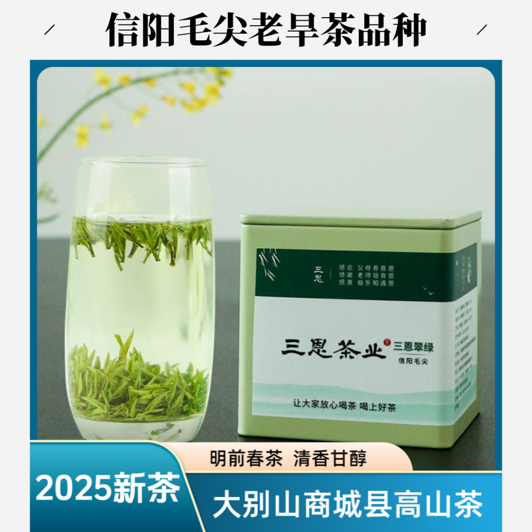 三恩2025年信阳毛尖三恩翠绿50克 商城县金刚台原产明前茶