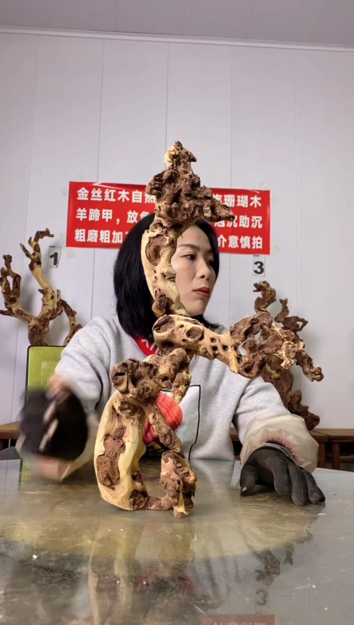 【闪购商品】木23金丝红木 羊蹄甲 