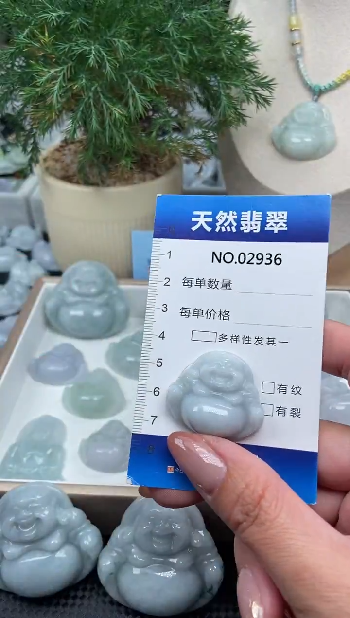 颈饰未镶嵌翡翠纯天然A货翡翠2936