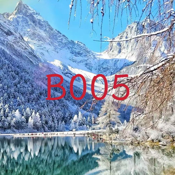 25年新款叮当宽松打底衫长袖T恤-BS05