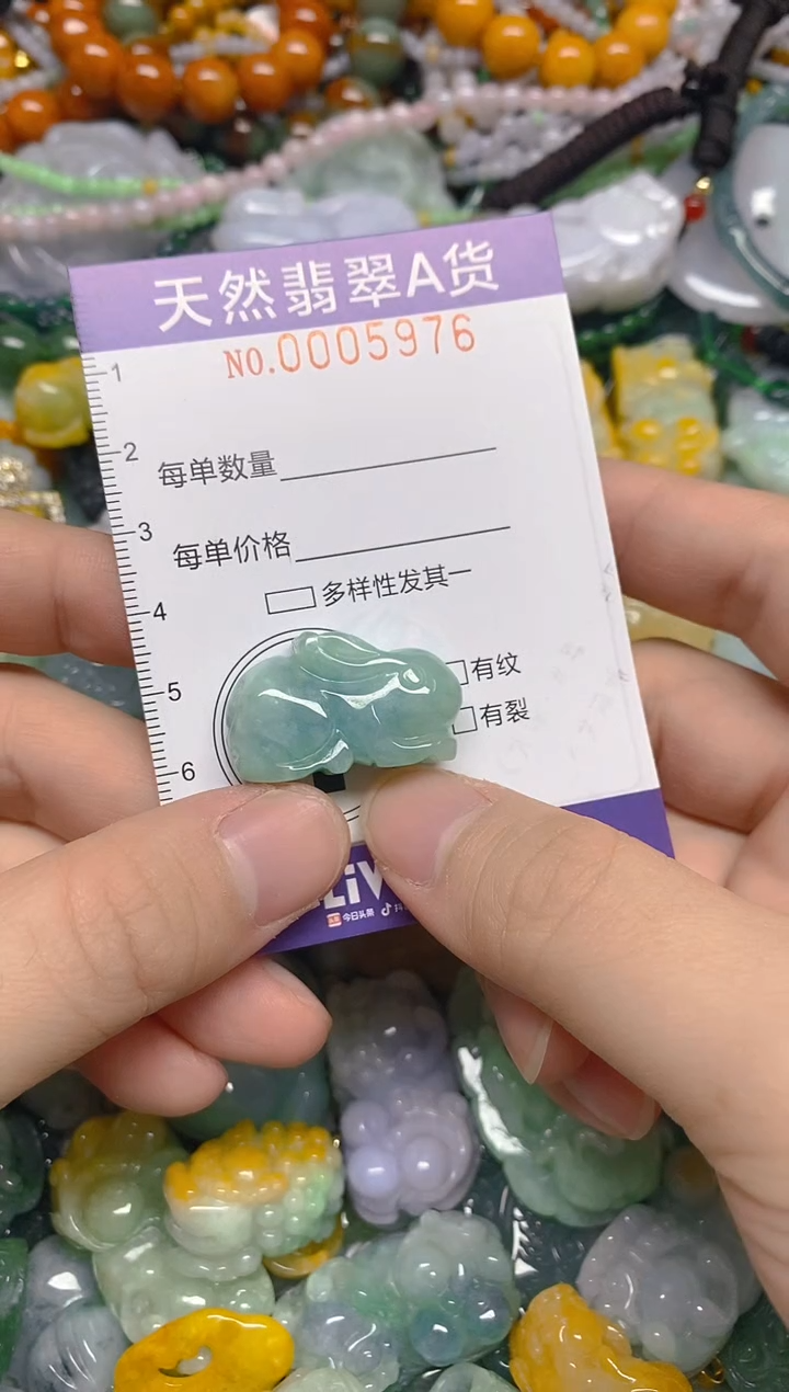 颈饰未镶嵌翡翠0005976