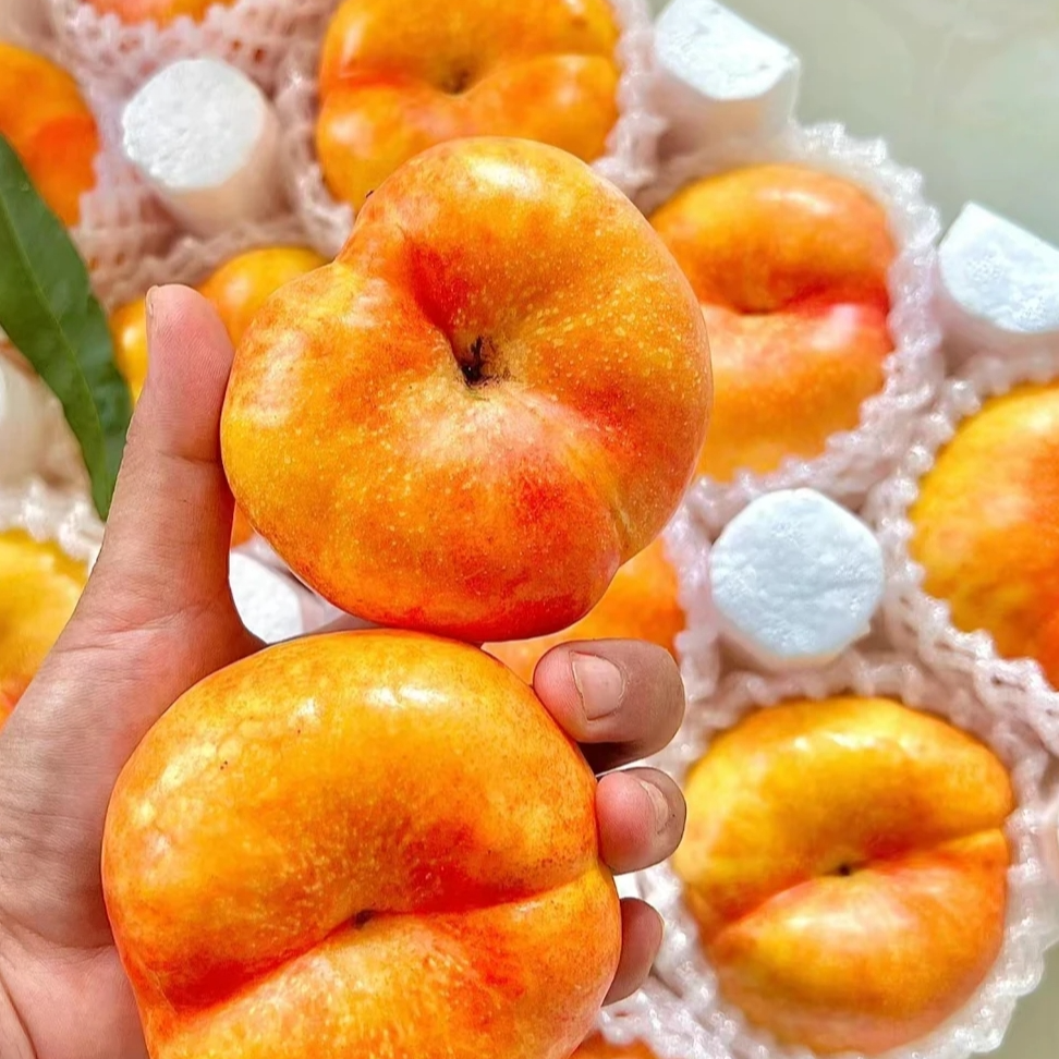 【顺丰包邮】黄油蟠桃买二斤赠一斤山东省