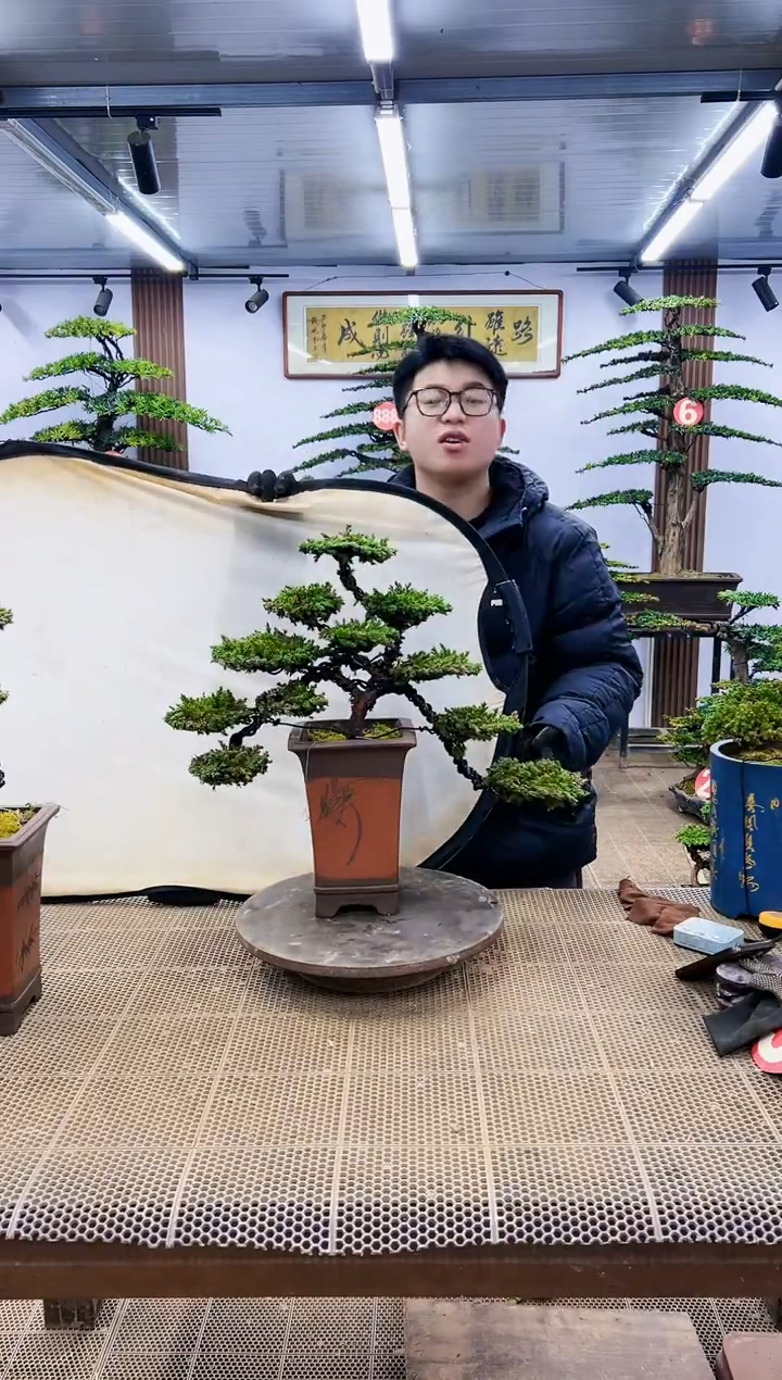 【闪购商品】一物一拍，所见即所得