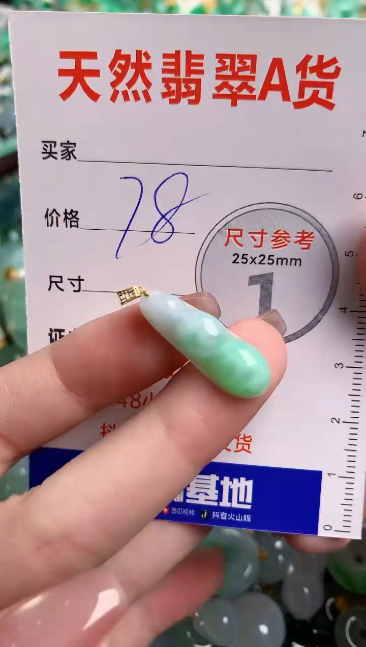 翡翠18K金镶嵌颈饰24001619