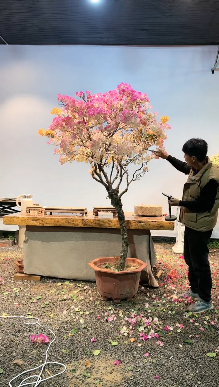 【闪购商品】AA931