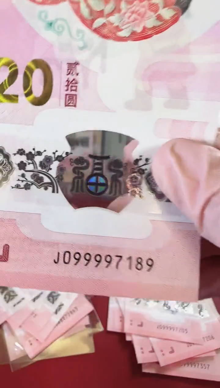 【闪购商品】塑料2025蛇钞单张啊啊啊啊啊