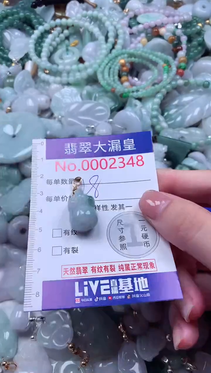 颈饰未镶嵌翡翠2348