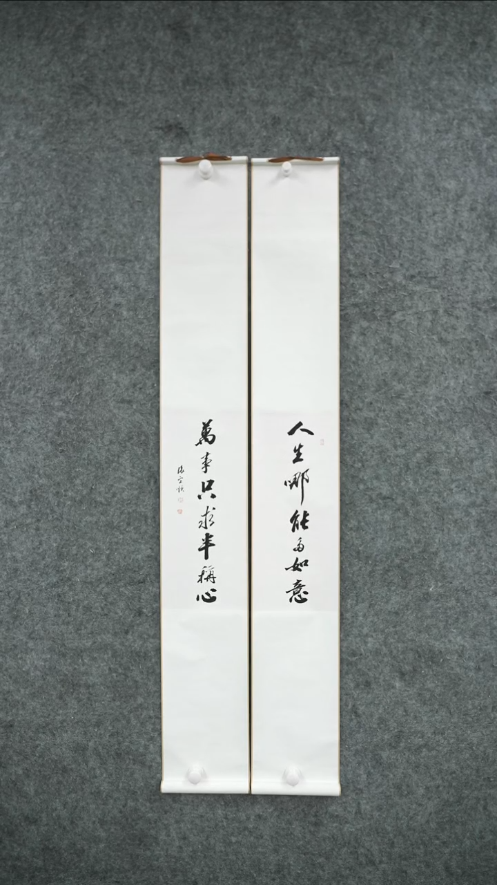 书法书法ZYS老师作品