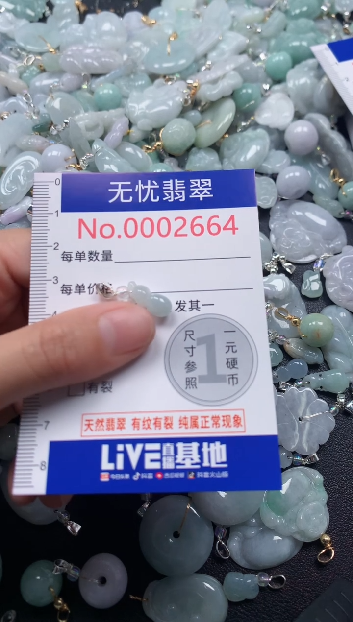 颈饰未镶嵌翡翠2664
