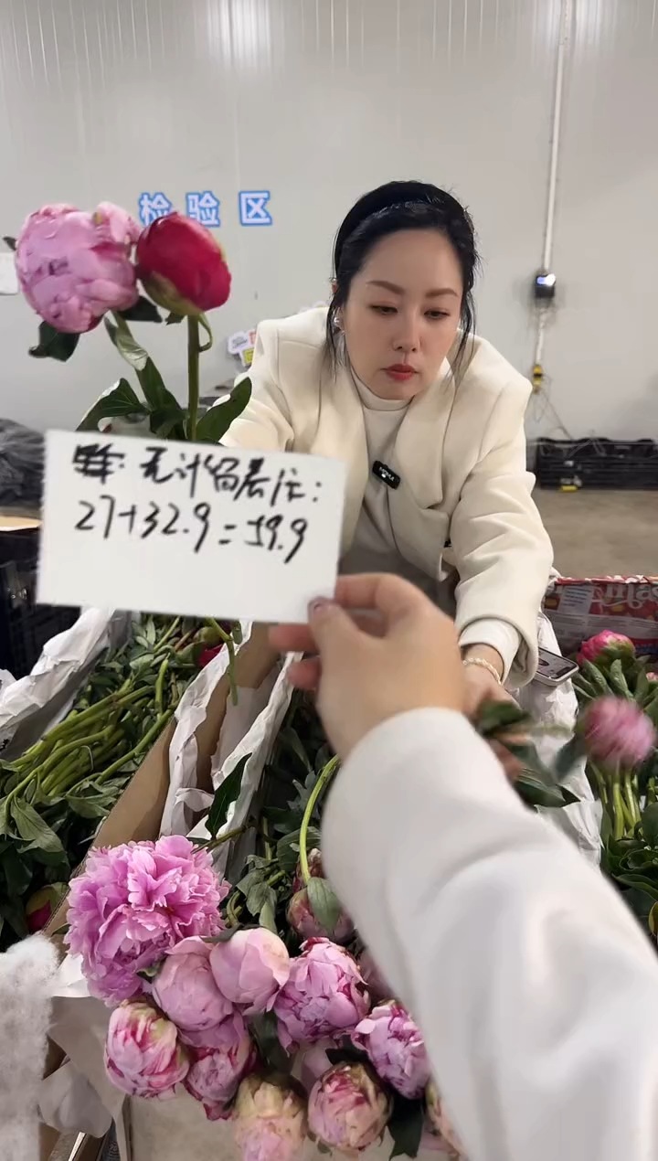 无***住定向 无计留春住