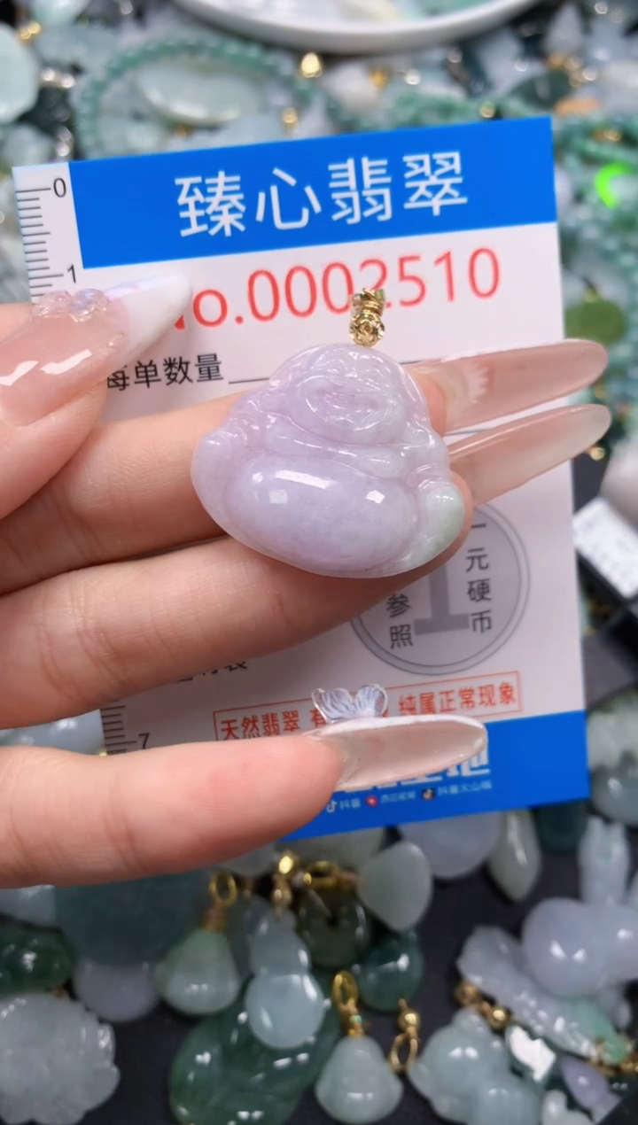 翡翠未镶嵌吊坠(不含链)2510