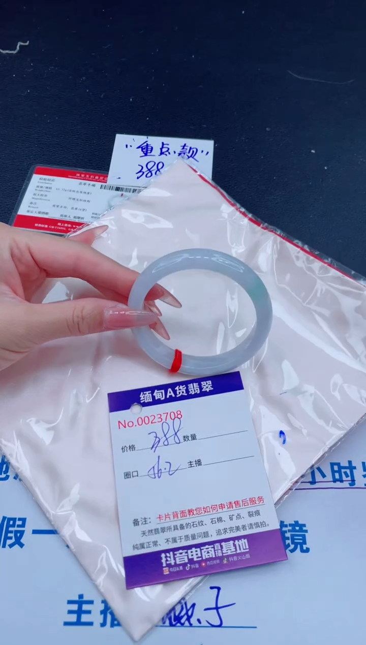 未镶嵌手镯翡翠 