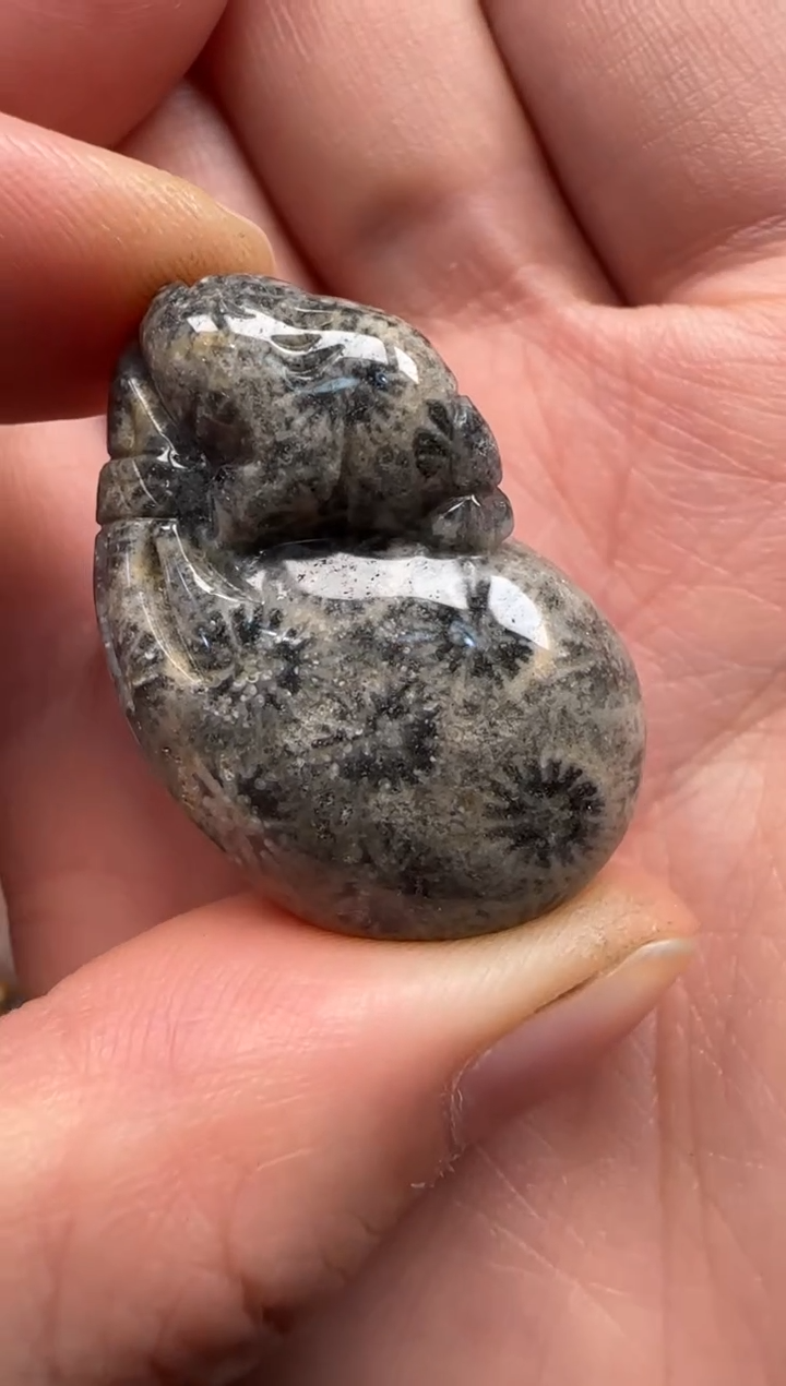 【闪购商品】硅化珊瑚（珊瑚玉）颈饰未镶嵌450