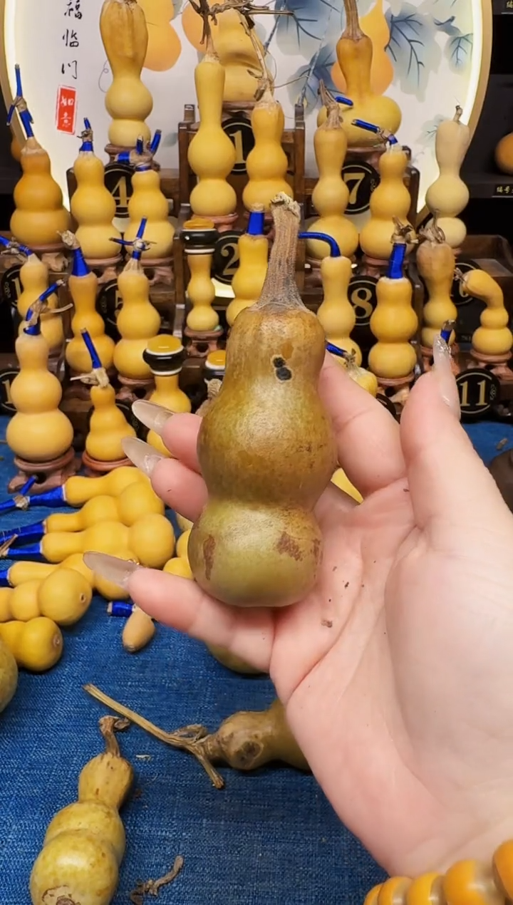 聪*高端葫芦高端客户