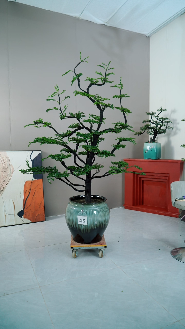 【闪购商品】45广东小叶紫檀