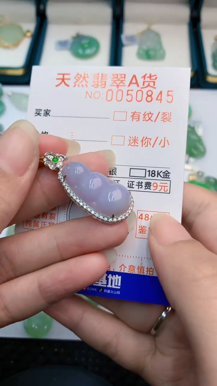 【闪购商品】翡翠颈饰18K金镶嵌            8