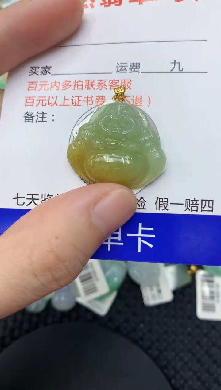 【闪购商品】翡翠颈饰18K金镶嵌11111111
