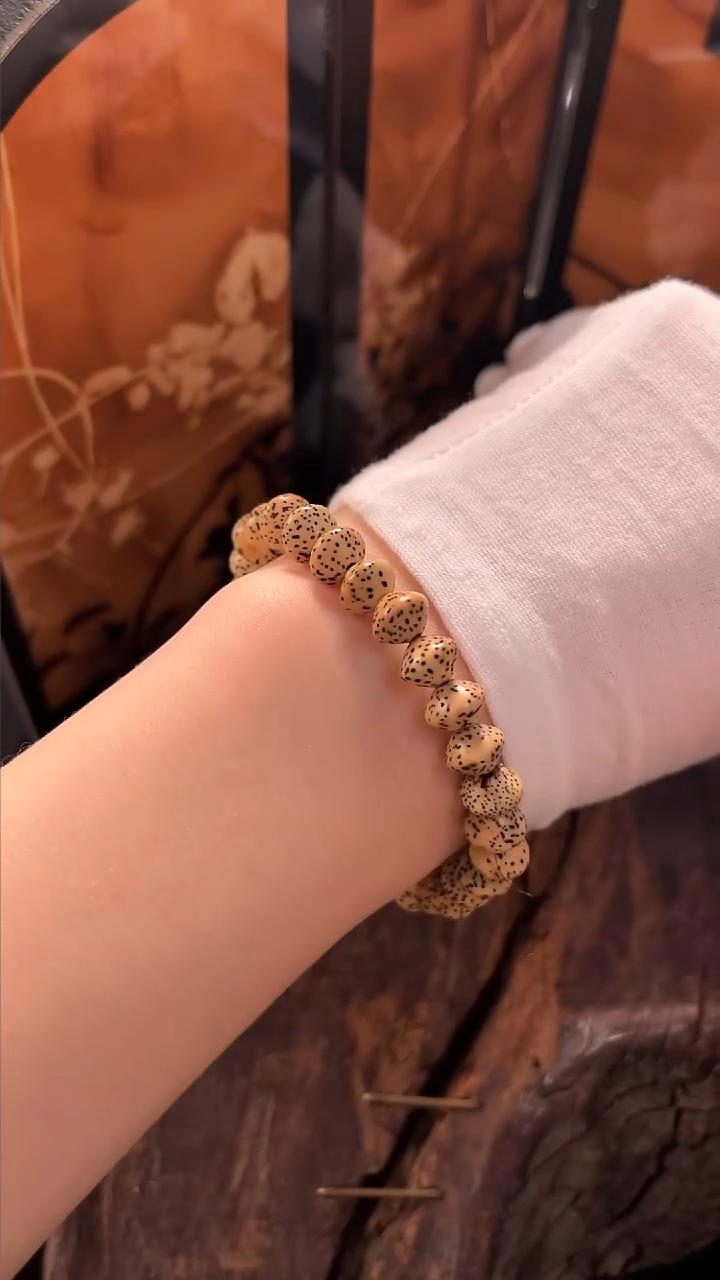 手串星月菩提精工级陈籽飞碟手串