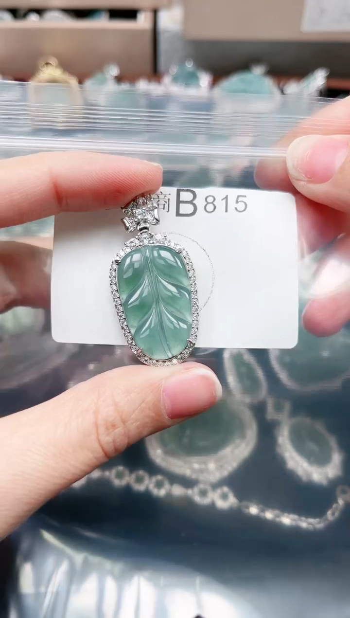 【闪购商品】翡翠颈饰未镶嵌815赠皮绳