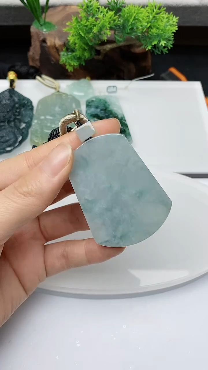 【闪购商品】翡翠颈饰未镶嵌