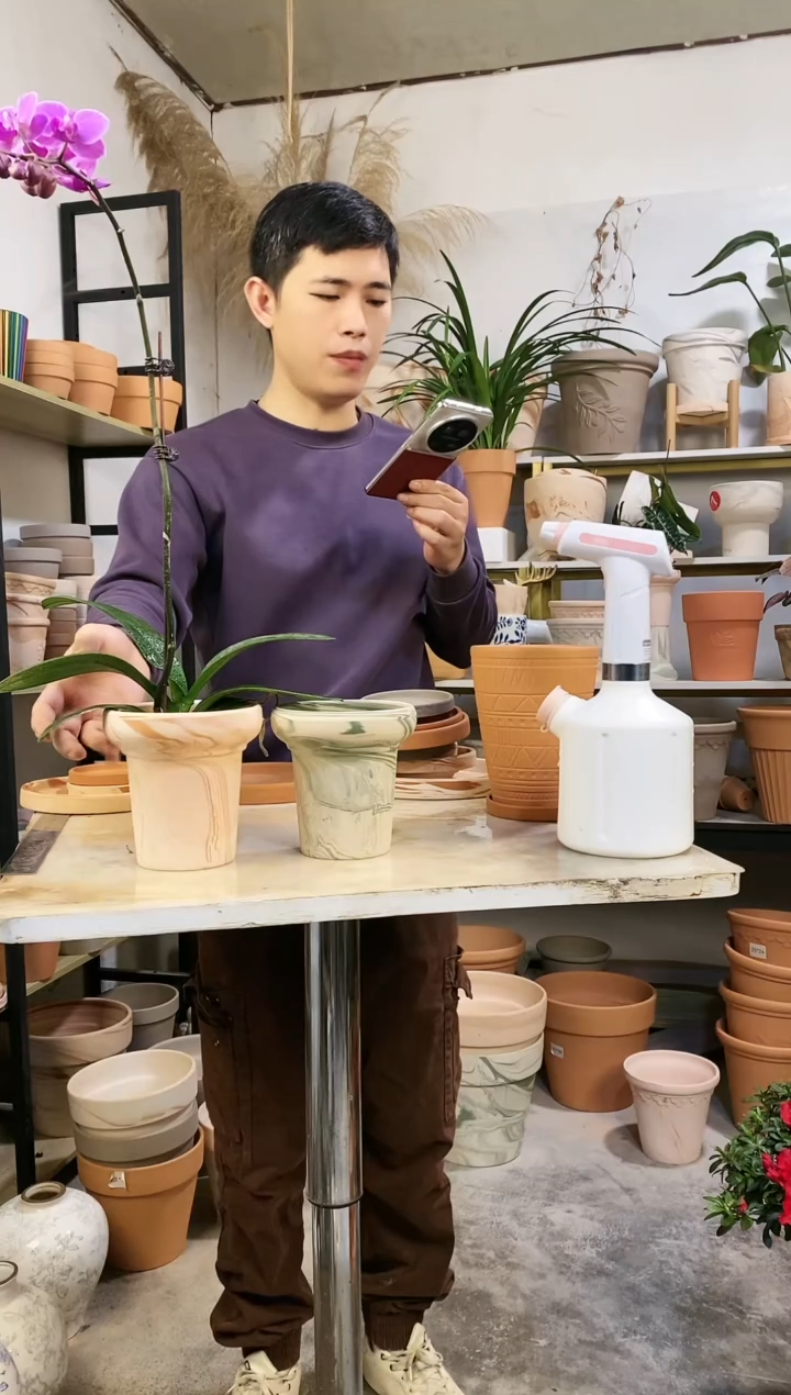 【闪购商品】红陶13*13双色蘑菇组合 2盆无托