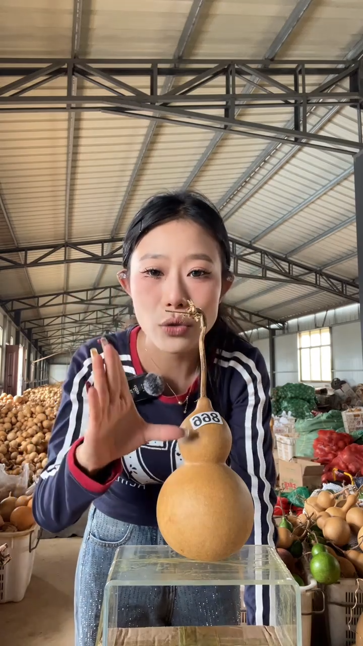 无花朵866天然葫芦摆件 一物一拍龙头不保售后